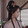 fengyujieweiyi_