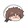 p___ie3311