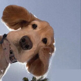 fumoudemou