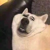 wenjiandeconggege