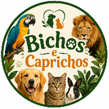 Bichos e Caprichos