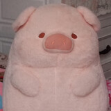 wushancha_
