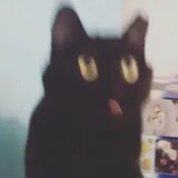 airperrow_exe