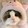 Ms. meow meow