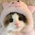 Ms. meow meow