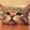 waowow-
