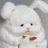 liangyu_ruochen