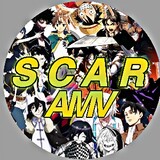 ScarMV