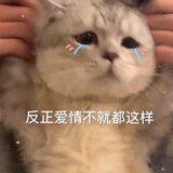 11yebangesheng