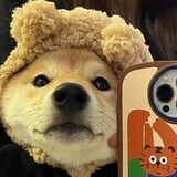 tianzhuhuha