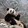 shizhidaixiong___ya