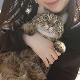 afuyoudianfanzhu