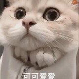 jie___huisuo