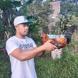 Arwin Suelto