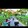 Md husain_5848