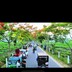 Md husain_5848