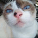 อรวพท-TGIF