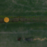 mofalua