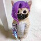 creator avatar