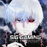 SIG GAMING