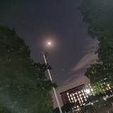 shuyiyi2