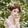 Huanger-