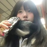 cuixiangmi-ccccc