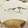 charlotte_2020