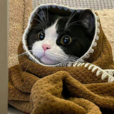 hahakwok_