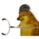 creator avatar