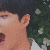 dyh mrsl