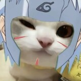 duanxude