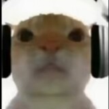 wuwuwuwuwu2