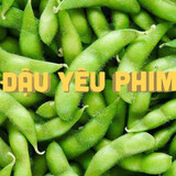 đậu yêu phim