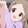 kekenai_kokona