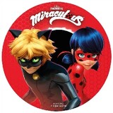 MIRACULOUS_HINDI