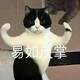 creator avatar