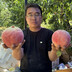 xinsannonglaoyao