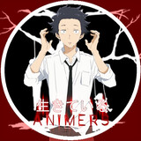 animers1