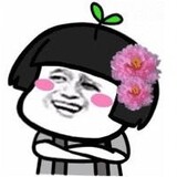 ya-meishuofenbujiala