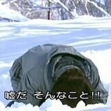 chaiquanmianbaowu