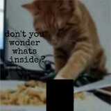 feibafenqianganfeima