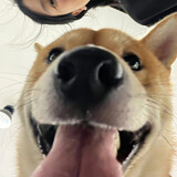 tizuiren