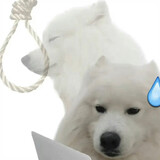 adzzz_