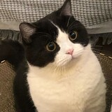 bukenengzqsg