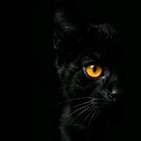Tapendra_4094