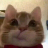 xiezilailailele