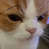 yigefan