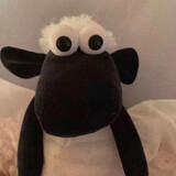xuebimeiyousesu