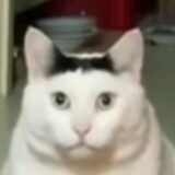 guiyuanrou-___meme